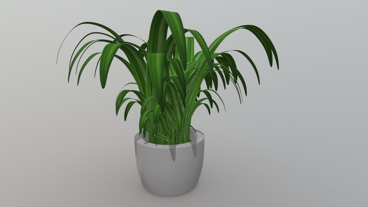 Plant With Pot 3D Model