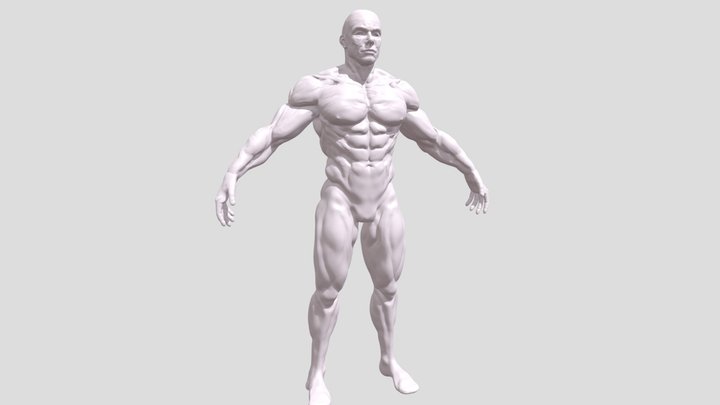 Male body sculpting 3D Model