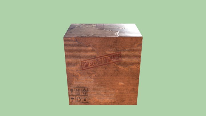 Cardboard 3D Model