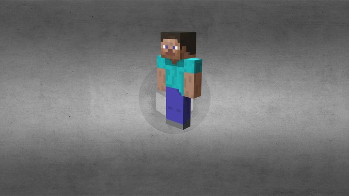 Custom Minecraft Animations 3D Model