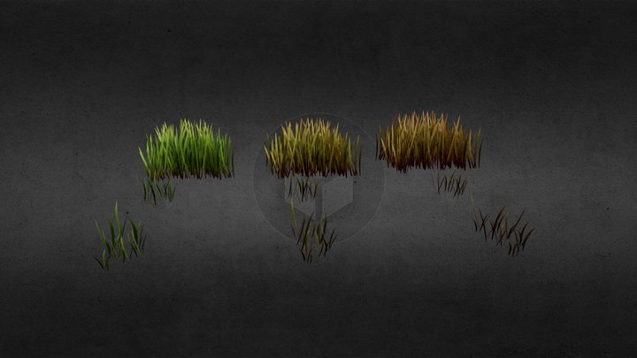 Grass Pack LP 3D Model