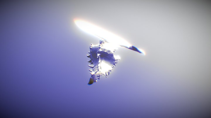 Seashell 3D Model
