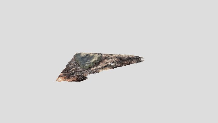 New Model 3D Model