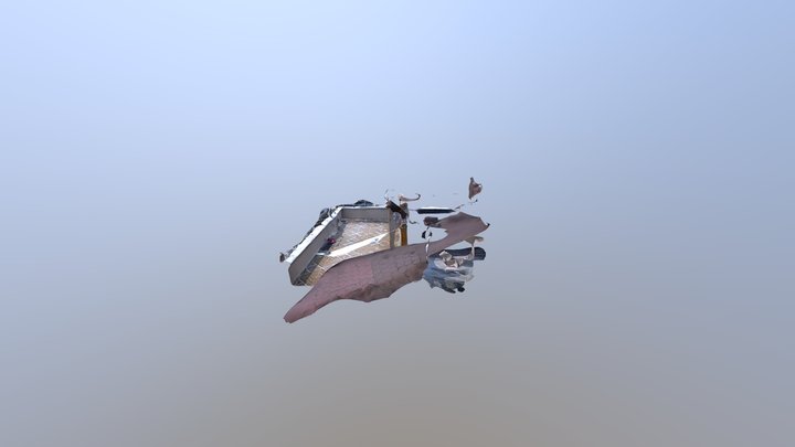 Polycam capture 3D Model