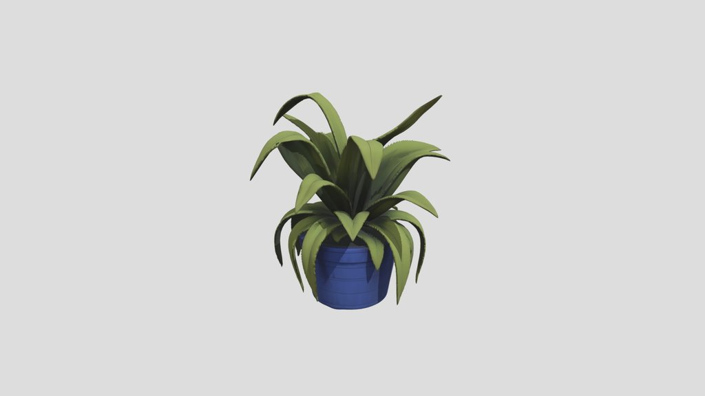 Plant_1