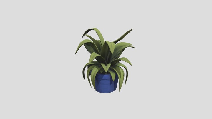 Plant_1 3D Model
