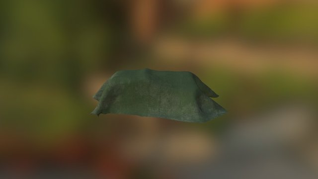 rag 3D Model