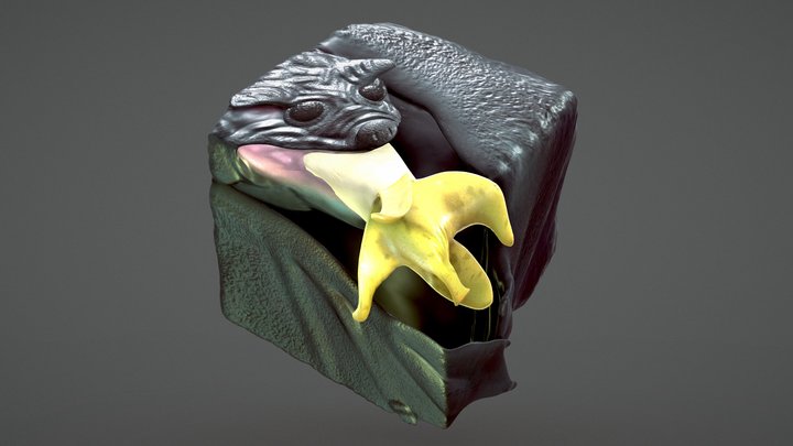 Wagoogus Cube