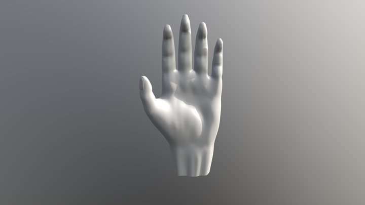 Hand Model With Sculpt - 2e Year Game Design 3D Model