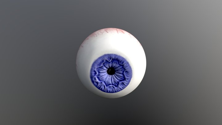 eye 3D Model