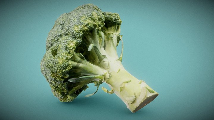 Broccoli 3D Model