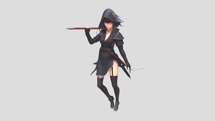 Dark Rogue Assassin Anime