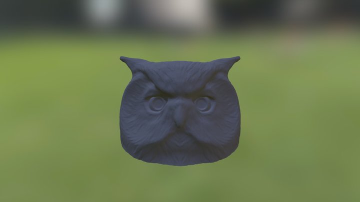 Owl Head 3D Model