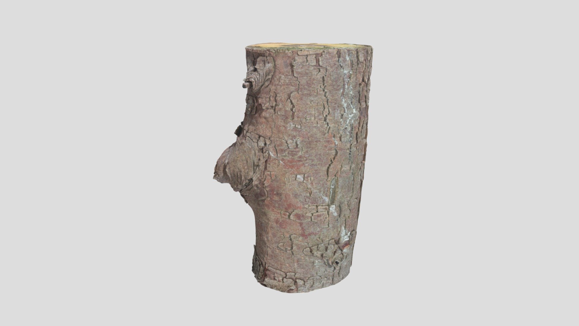 Photoscan Log