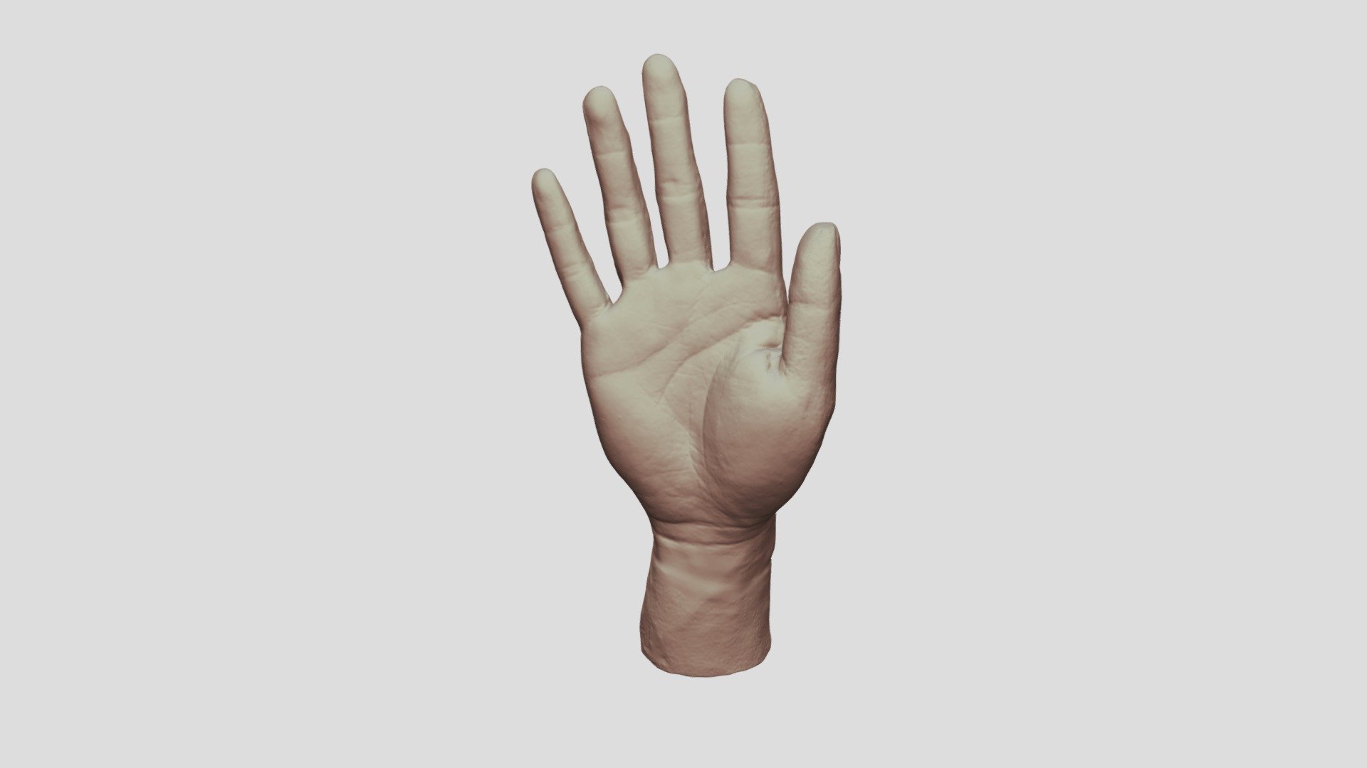 Hand Model（scanned by Revopoint MINI） - Download Free 3D model by ...