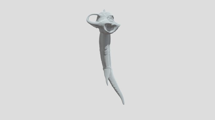 Skull-Tipped Trophy Tail 3D Model