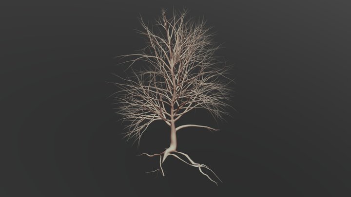 tree without leaves #1 – Modello 3D gratuito STL