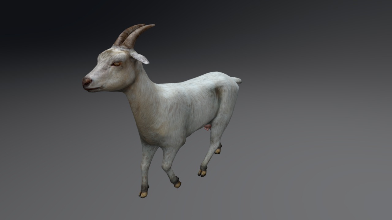 3D model Goat - This is a 3D model of the Goat. The 3D model is about a white goat with horns.
