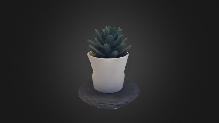 Succulent in a Pot – Modèle 3D gratuit STL