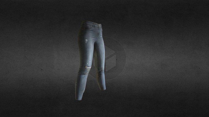 Female denim wasted and damaged jeans 3D Model