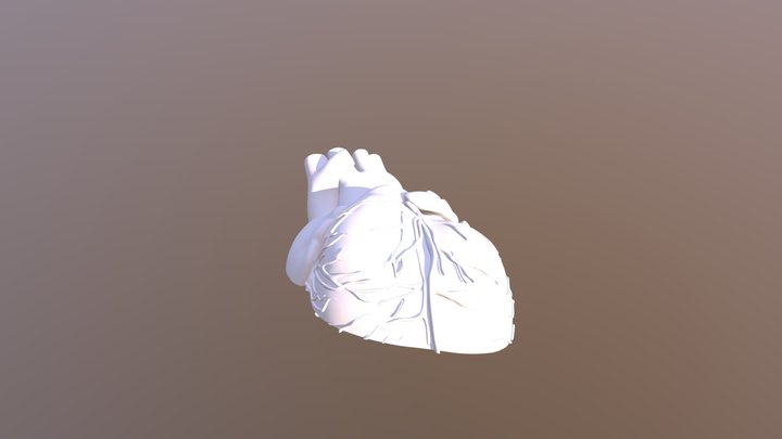 Heart L 3D Model
