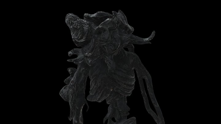 Bacteria
