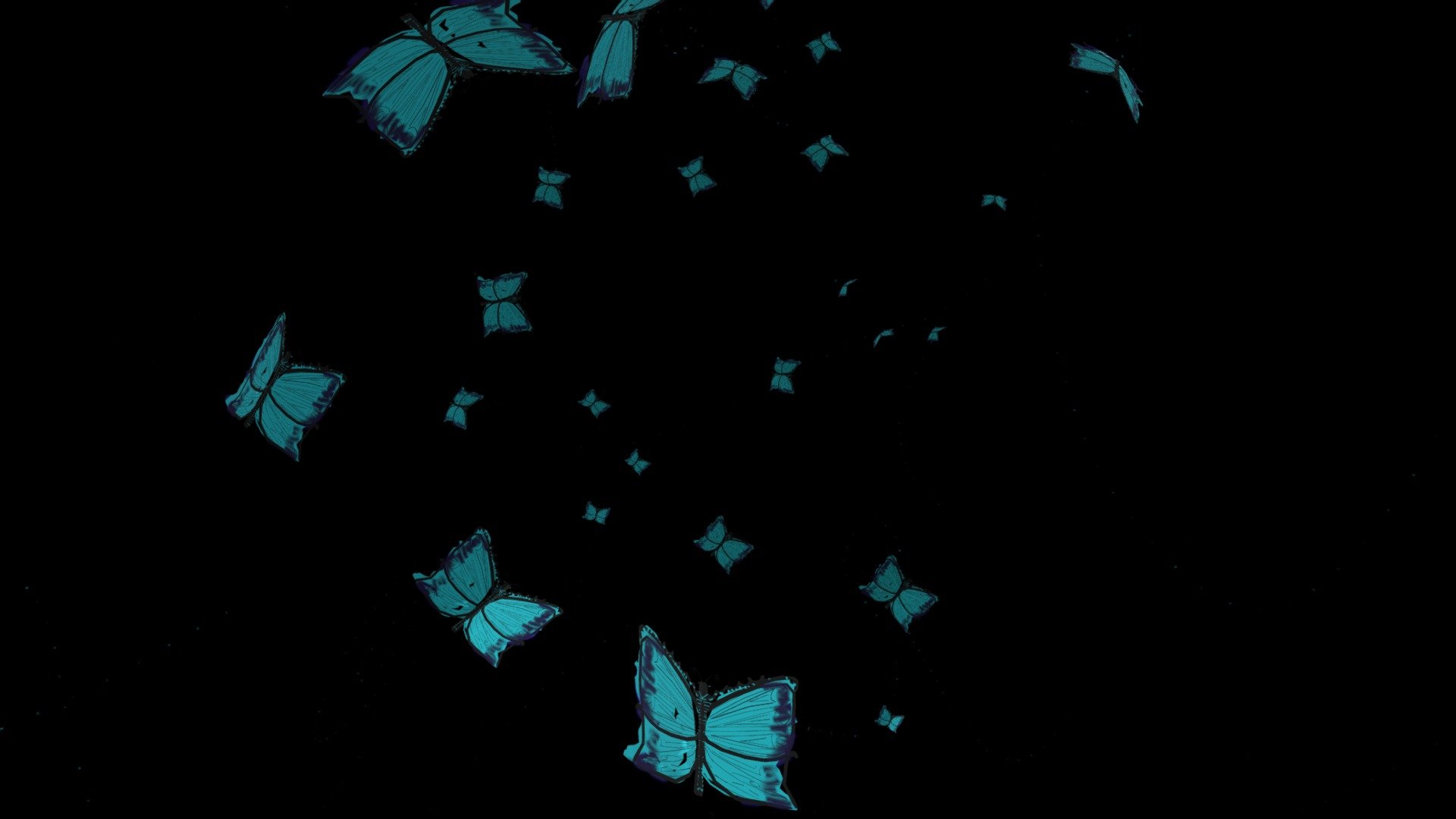 butterfliesTURQUOISE