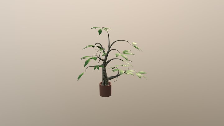 CGT 116 Week 08 Plant 3D Model