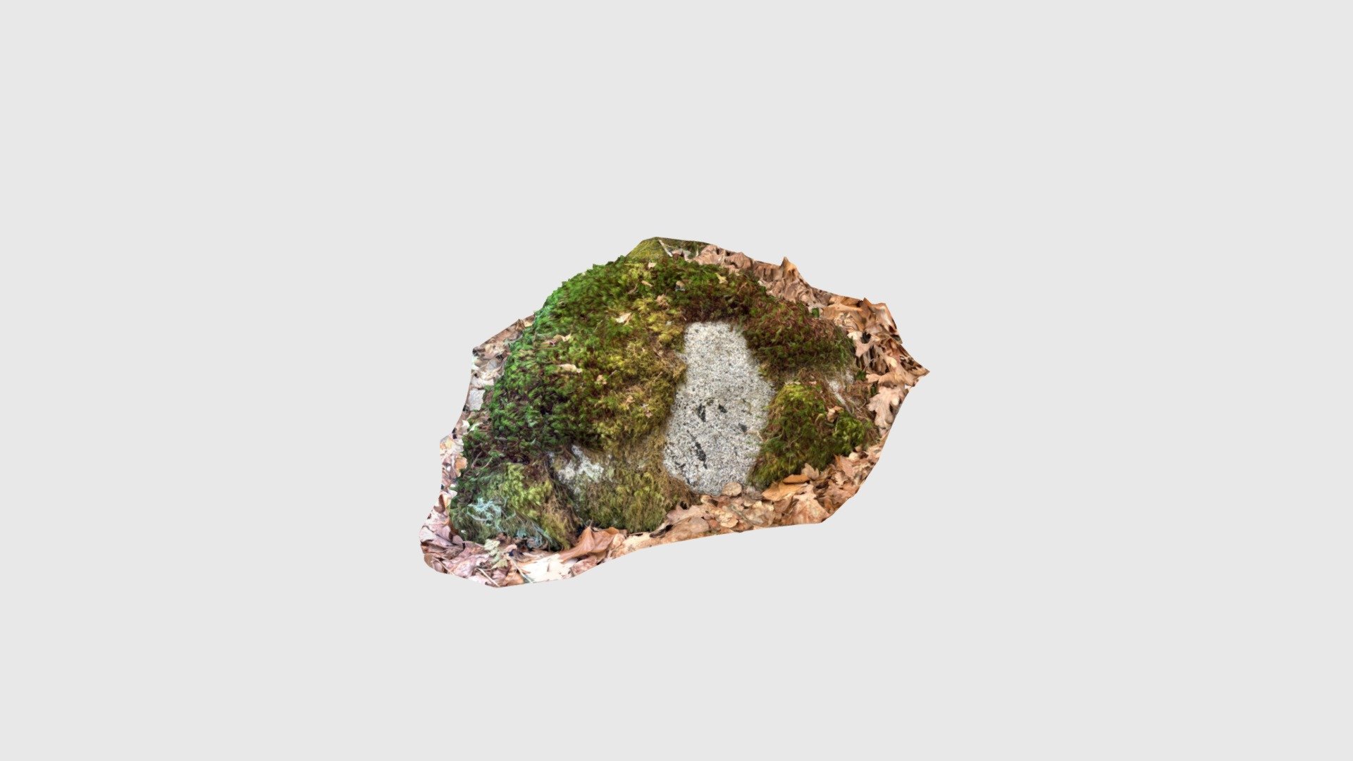 Mossy_bouldesr_head