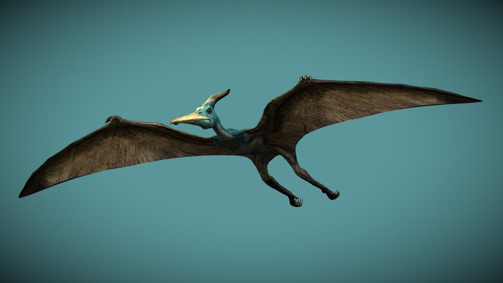 The Lost World: Jurassic Park Geosternbergia – Modèle 3D gratuit STL
