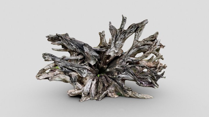 Massive tree stump – Modello 3D gratuito STL