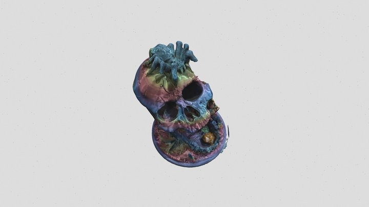 Scanned 3Dprinted skull v2