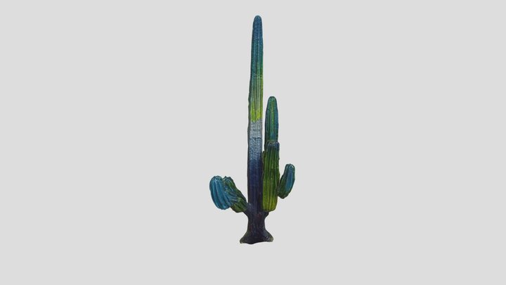Cardón Cataviña (IA) 3D Model