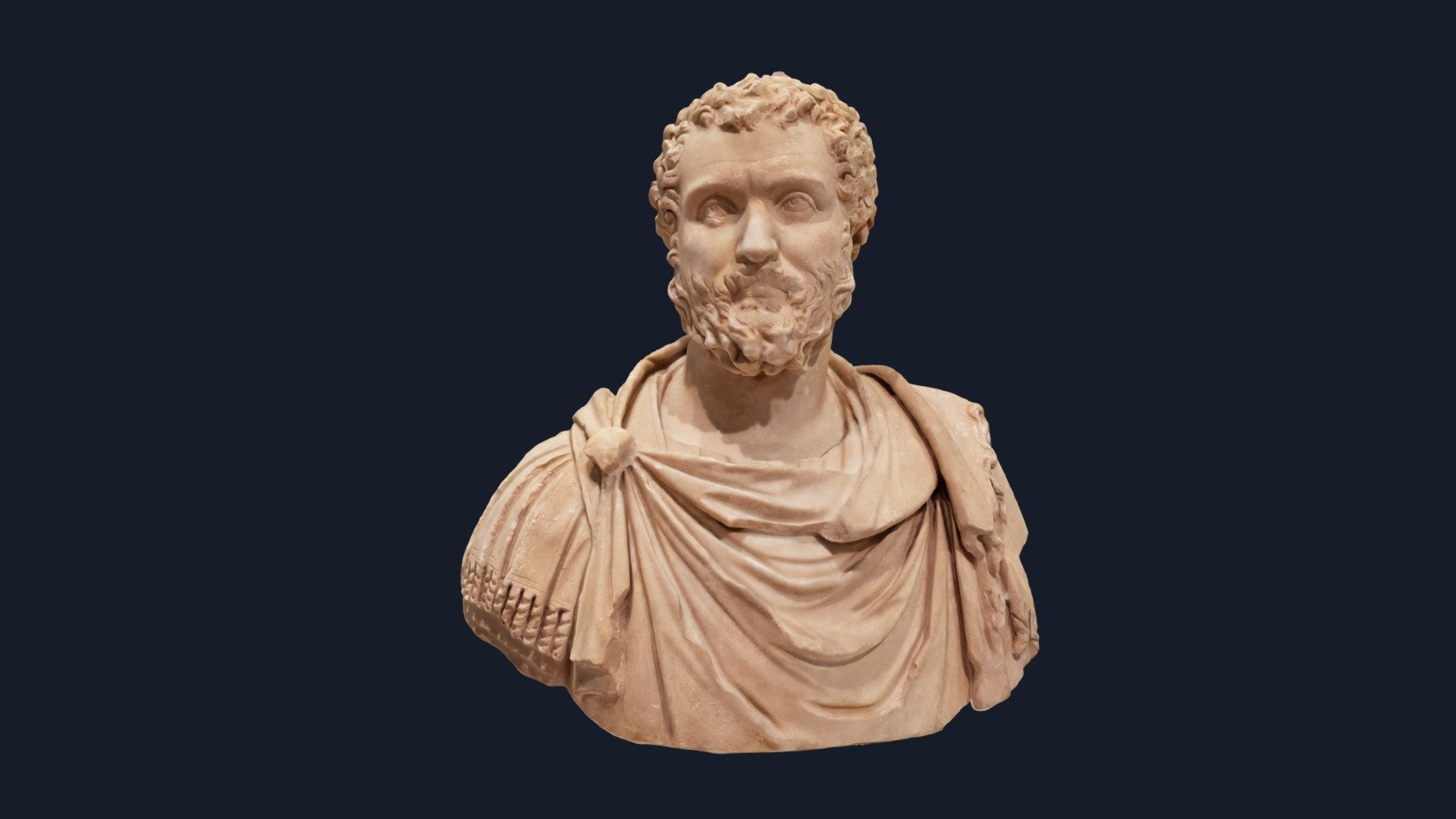 Bust of Clodius Albinus - 3D model by betsrobinson [338e5be] - Sketchfab