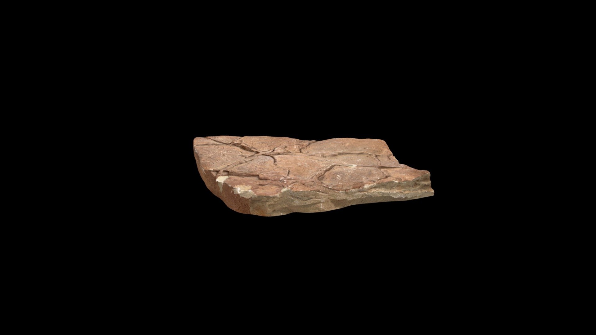 Desiccation crack casts