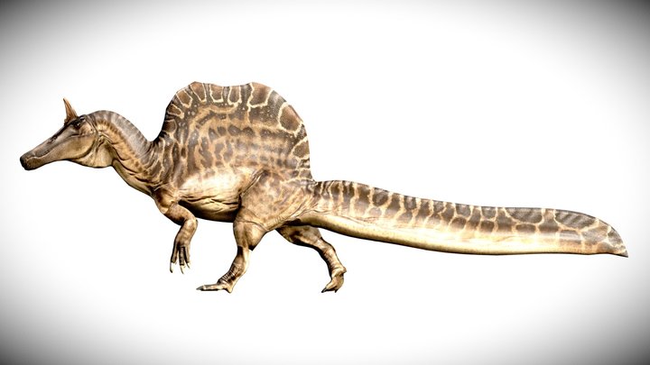 Spinosaurus mirabilis - walking