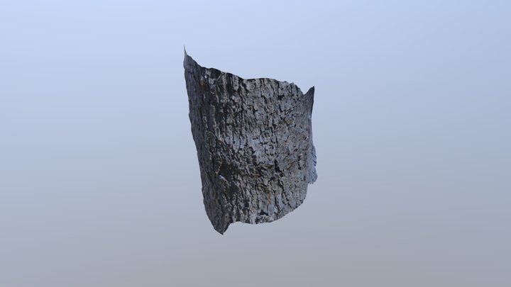 prairie 4 3D Model
