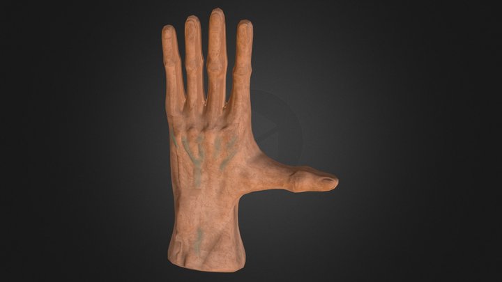 Hand 3D Model
