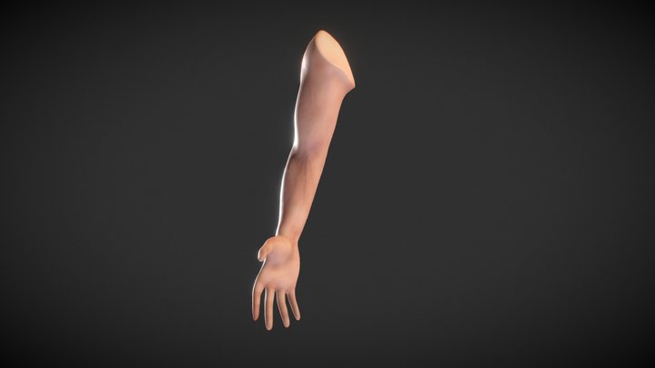 Human Male Arm - base mesh 3D Model