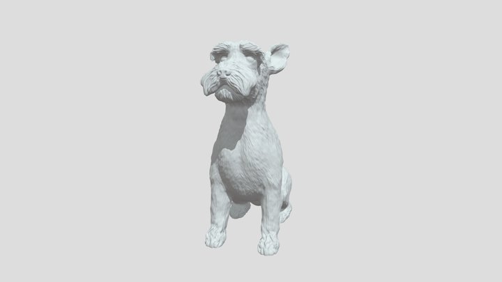 Schnauzer 3D Model