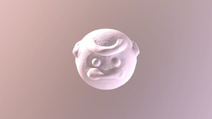 Your Mesh 3D Model