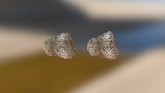 Test 3D Model