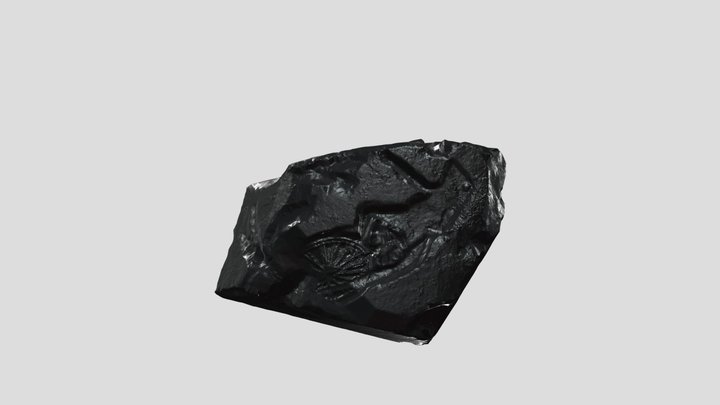 Memescript on Rock 3D Model