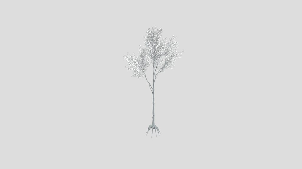 Tree 28