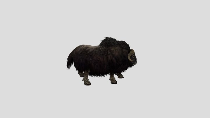Musk Cow – Free 3D Model STL