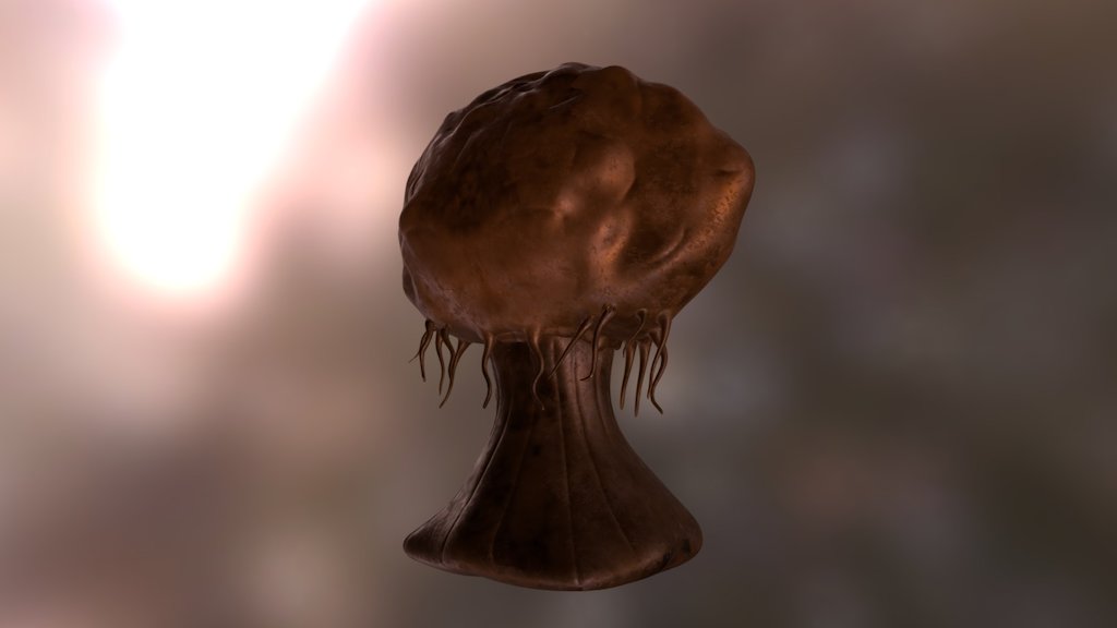 Titanium Coral Sketch