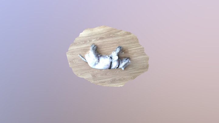 Pachón 3D Model