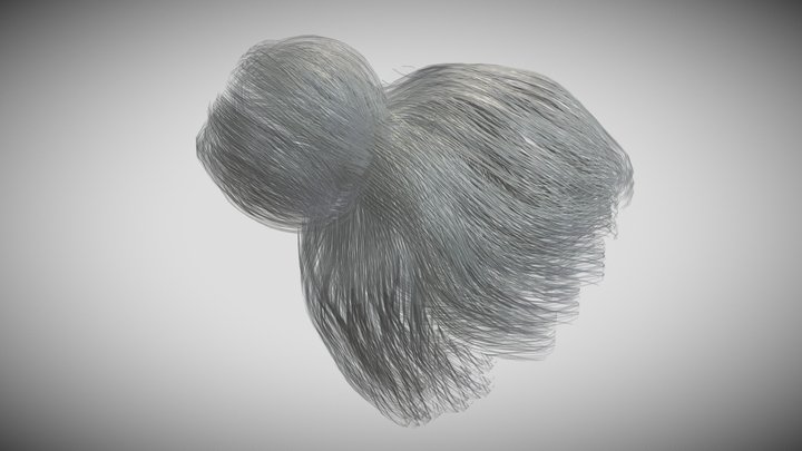 Grandma's hair 3D Model