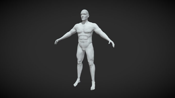 Male Anatomy Practice 3D Model
