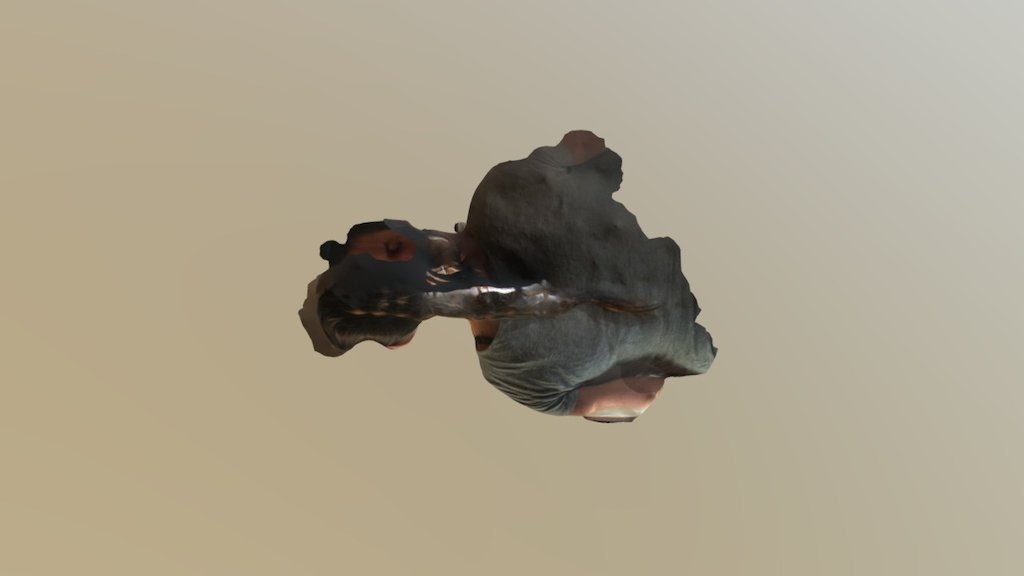 A TRNIO Model